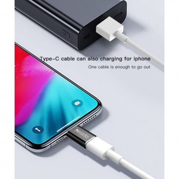 Yesido GS03 Lightning to USB-C Adapter