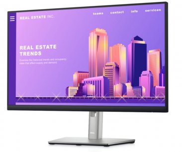 Dell Professional 24'' Monitor P2422H