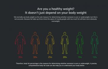 Mi Body Composition Scale v.2