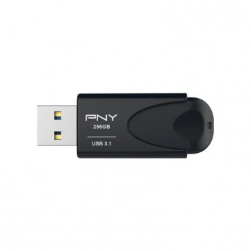 PNY 256GB USB 3.1 Flash Drive