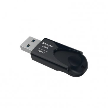 PNY 256GB USB 3.1 Flash Drive