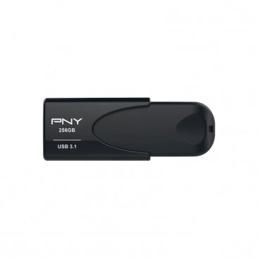 PNY 256GB USB 3.1 Flash Drive