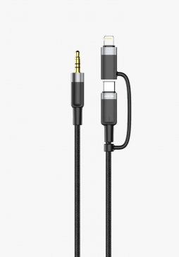 Green Lion 2 in 1 Audio Cable (USB C and Lightning to 3.5mm Aux (1 Meter)