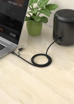 Green Lion 2 in 1 Audio Cable (USB C and Lightning to 3.5mm Aux (1 Meter)