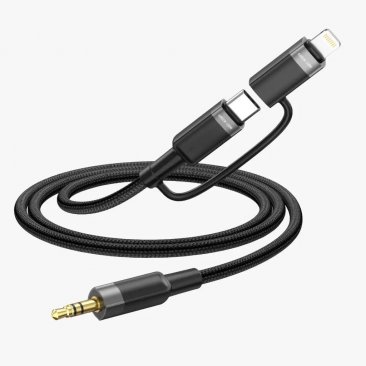 Green Lion 2 in 1 Audio Cable (USB C and Lightning to 3.5mm Aux (1 Meter)