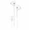 Green Lion Stereo Earphone with Type C Connector (GT-ST5)