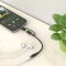 Green 2 in 1 Audio Cable (USB C and Lightning to 3.5mm Jack)