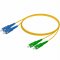 Fiber Optic Network Cable (3 Meters)